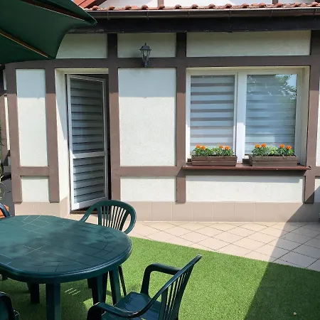 Forget-me-not Gdansk