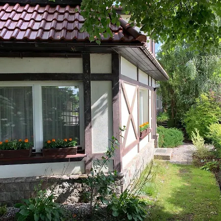 Forget-me-not Apartment *