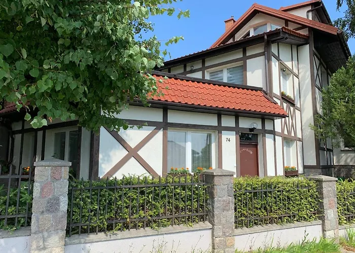 Forget-me-not Gdansk