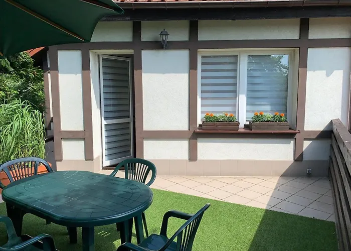 Forget-me-not Gdansk