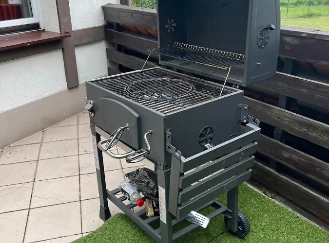 Forget-me-not Gdansk