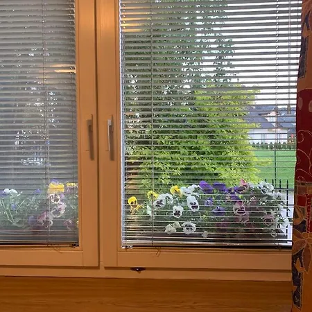 Forget-me-not Apartment